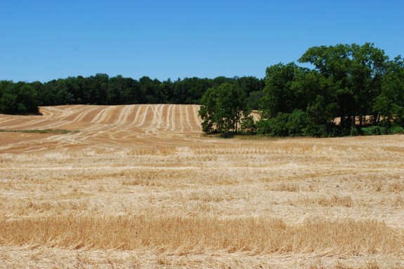On South Washington near Columbia City, Indiana